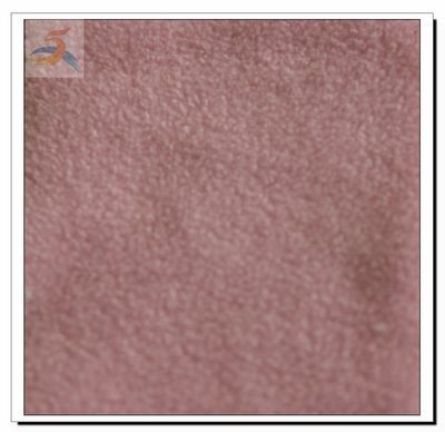 紹興市詩璐針紡織品 匠心打造雙刷單搖低彈搖粒絨，引領(lǐng)針織面料新風(fēng)尚